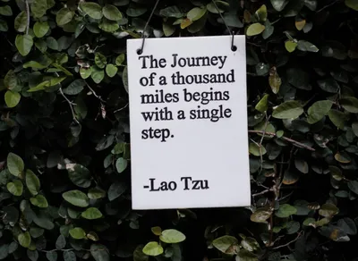 Unleash Your Inner Aesthetic: Discover the Most Inspirational Quote!