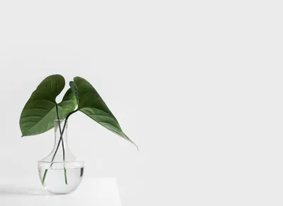 Discover Heartwarming Visual Inspirations to Brighten Your Day