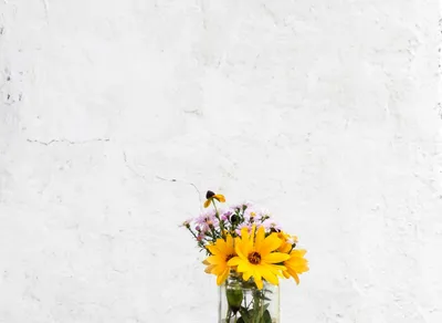 Unlock Your Potential with an Inspirational Quote Background!