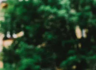 Create Your Own Inspirational Quote in Minutes with Our Quote Maker