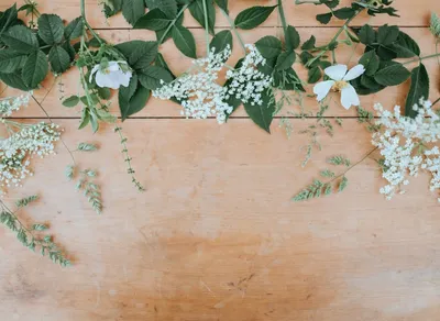 Create Your Own Inspirational Quote Template and Unleash Your Creative Power!