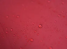 Powerful Brene Brown Quotes That Will Inspire and Empower You