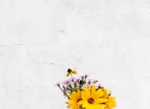 Unlock Your Potential with an Inspirational Quote Background!