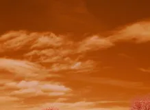 Unleash Your Inner Courage with Inspiring Brene Brown Quotes!