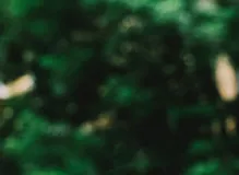 Get Inspired with the Weekly Motivational Quote