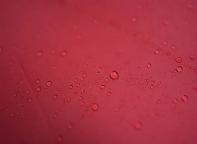 Powerful Brene Brown Quotes That Will Inspire and Empower You