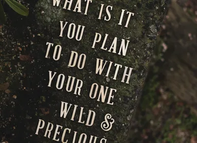 Get Inspired with Our Dynamic Quote Generator