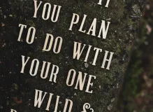 Get Inspired with Our Dynamic Quote Generator