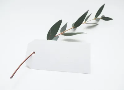 Boost Your Mood with an Inspiring Quote Background