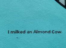 Unleash Your Potential with Inspiring David Goggins Quotes