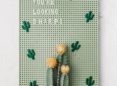 Find Your Motivation: Short Inspirational Quotes to Empower and Energize