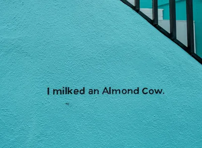 Unleash Your Potential with Inspiring David Goggins Quotes