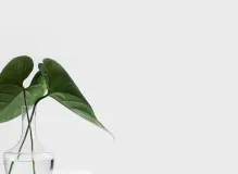 Discover Heartwarming Visual Inspirations to Brighten Your Day